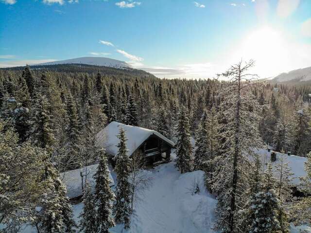 Дома для отпуска Ylläshilla Cottage Экясломполо-71